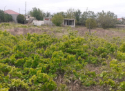 Satılır 14 sot torpaq Zirə