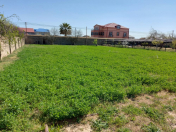 Satılır 14 sot torpaq Buzovna