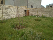 Satılır 4.5 sot torpaq Sumqayıt