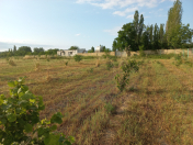 Satılır 89 sot torpaq Quba