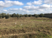 Satılır 8 sot torpaq Buzovna