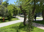 Satılır 2 otaqlı 40 m2 köhnə tikili 1 mkr