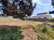 Satılır 12 sot torpaq Buzovna