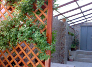 İcarəyə verilir 4 otaqlı 100 m2 həyət evi Biləcəri