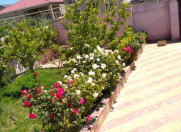 Satılır 3 otaqlı 120 m2 həyət evi Zabrat 1