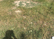 Satılır 6 sot torpaq Puta