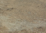 Satılır 8 sot torpaq Qobu