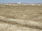 Satılır 600 sot torpaq Şirvan