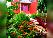 İcarəyə verilir 4 otaqlı 120 m2 həyət evi Qəbələ