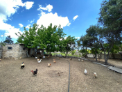 Satılır 30 sot torpaq Bilgəh