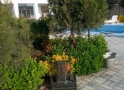 İcarəyə verilir 6 otaqlı 300 m2 bağ evi Bilgəh