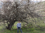 Satılır 10 sot torpaq Şamaxı