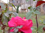 Satılır 4 otaqlı 120 m2 həyət evi Sumqayıt