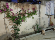 İcarəyə verilir 3 otaqlı 80 m2 həyət evi Sahil