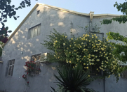 Satılır 5 otaqlı 380 m2 həyət evi Sumqayıt