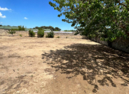 Satılır 7 sot torpaq Nardaran