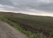 Satılır 45 sot torpaq Ağstafa