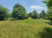 Satılır 20 sot torpaq Qəbələ