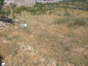 Satılır 5 sot torpaq Nardaran