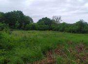 Satılır 9 sot torpaq Qusar