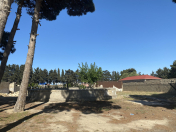 Satılır 23 sot torpaq Məhəmmədli