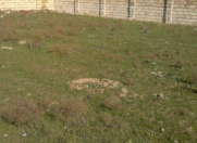 Satılır 5.5 sot torpaq Şüvəlan