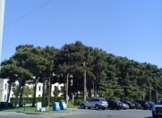 Satılır 6 sot torpaq Rəsulzadə