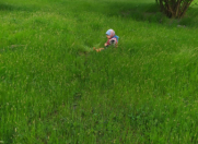 Satılır 130 sot torpaq Qəbələ