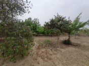 Satılır 7 sot torpaq Novxanı