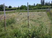 Satılır 2.5 sot torpaq Hövsan