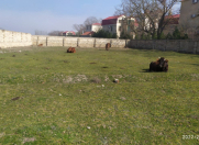 Satılır 10 sot torpaq Xudat