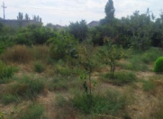 Satılır 12 sot torpaq Xaçmaz
