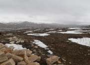 Satılır 1400 sot torpaq Şamaxı