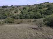 Satılır 12 sot torpaq Şamaxı