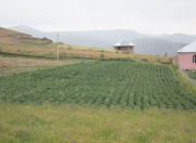 Satılır 18 sot torpaq Gədəbəy