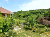 İcarəyə verilir 4 otaqlı 15 m2 həyət evi Lerik