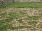 Satılır 6 sot torpaq Masazır