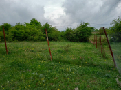 Satılır 12 sot torpaq Qusar