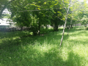 Satılır 19.5 sot torpaq Qəbələ