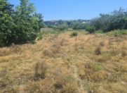 Satılır 30 sot torpaq Görədil