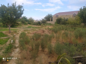 Satılır 26 sot torpaq Saray