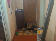 Satılır 2 otaqlı 63 m2 köhnə tikili Yevlax