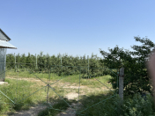 Satılır 140 sot torpaq Qusar