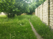 Satılır 5 sot torpaq Qəbələ