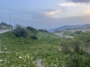 Satılır 24 sot torpaq Şamaxı