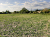 Satılır 48 sot torpaq Qəbələ