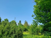 Satılır 30 sot torpaq Oğuz