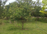 Satılır 3 otaqlı 65.8 m2 həyət evi Goranboy