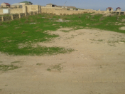 Satılır 5 sot torpaq Saray