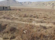 Satılır 430 sot torpaq Perekeşkül